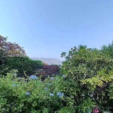 A Few Steps From The Beach, Very Comfortable Apartamento *